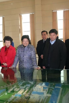 2011年12月14日，第十屆全國人大常委會副委員長顧秀蓮、中國石油和化學工業聯合會長李勇武等參加銅化集團成立20周年慶典，蒞臨公司視察。